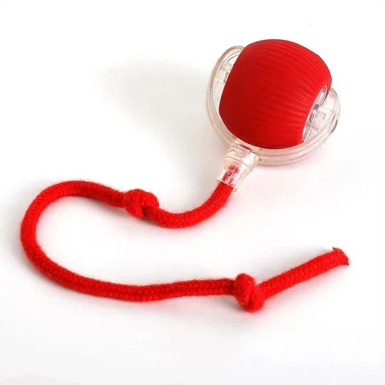 Dog Motion-Activated Rolling Ball Toy, Independent Play and Daily Exercise