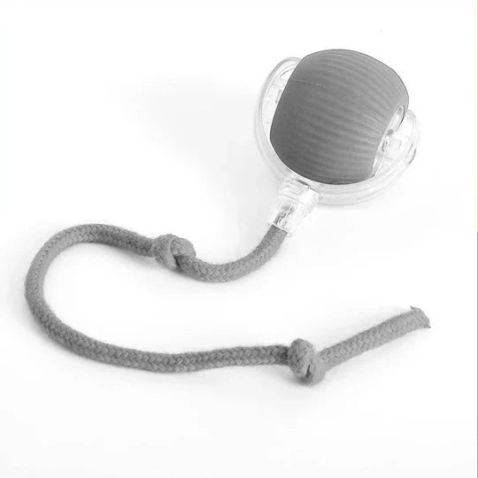 Dog Motion-Activated Rolling Ball Toy, Independent Play and Daily Exercise