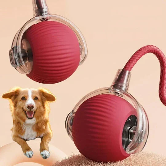 Dog Motion-Activated Rolling Ball Toy, Independent Play and Daily Exercise
