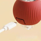 Dog Motion-Activated Rolling Ball Toy, Independent Play and Daily Exercise