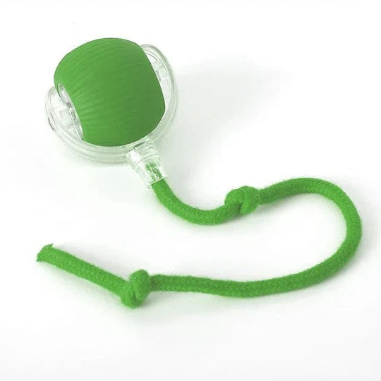 Dog Motion-Activated Rolling Ball Toy, Independent Play and Daily Exercise