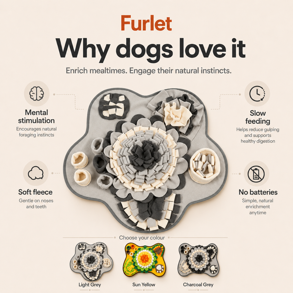 Interactive Dog Snuffle Mat