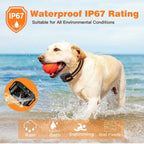 Dog Training E-Collar with Waterproof Long-Range Remote