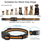 Dog Training E-Collar with Waterproof Long-Range Remote
