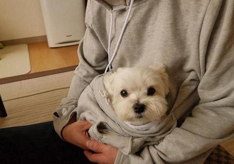 Doggie Kangaroo Hoodie
