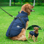 DryPaw Waterproof Dog Coat