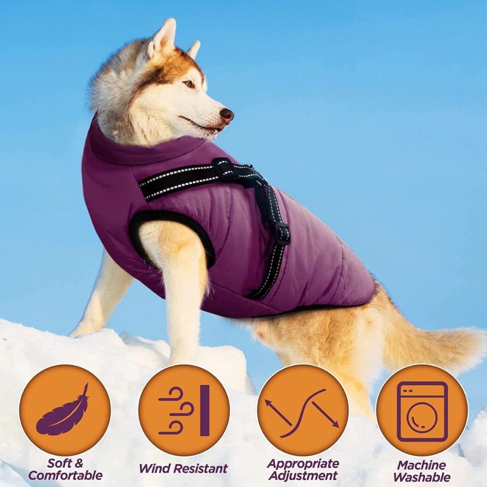 DryPaw Waterproof Dog Coat