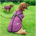 DryPaw Waterproof Dog Coat