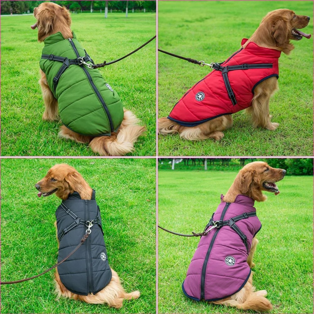 DryPaw Waterproof Dog Coat