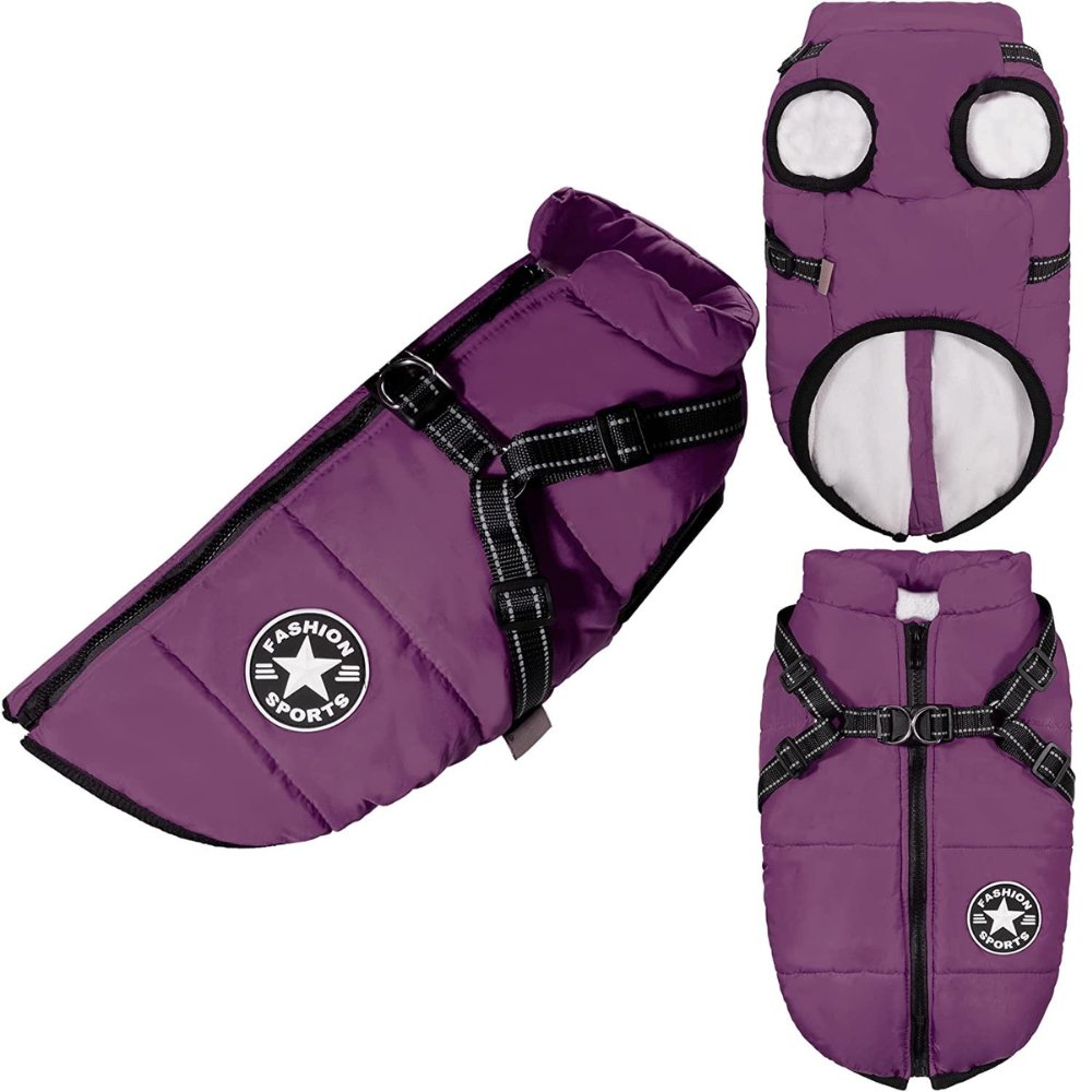 DryPaw Waterproof Dog Coat
