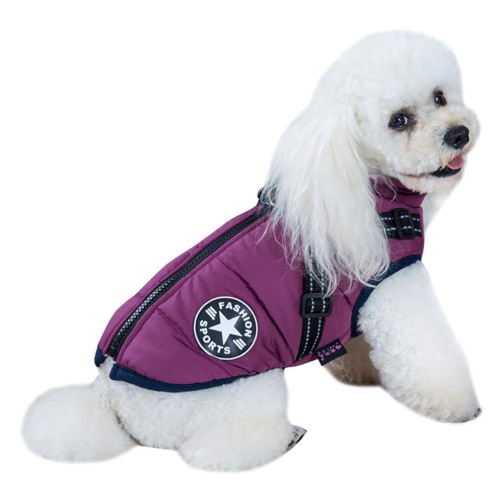 DryPaw Waterproof Dog Coat