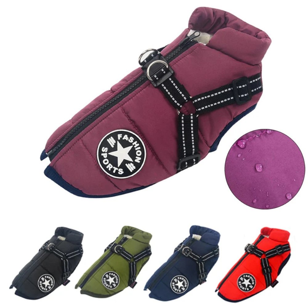 DryPaw Waterproof Dog Coat