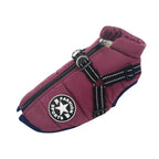DryPaw Waterproof Dog Coat