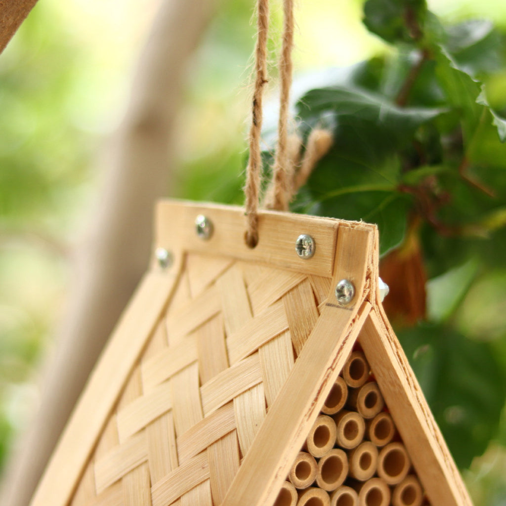 Eco-Friendly Insect Habitat