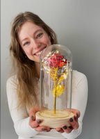 Eternal Rose – Gold Rose in Glass Dome with LED Lighting