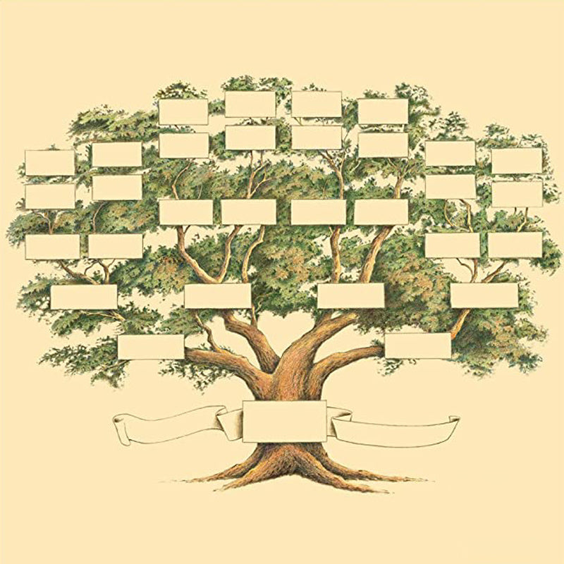 Family Tree Genealogy Diagram on Canvas