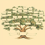 Family Tree Genealogy Diagram on Canvas
