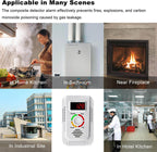 Gas Leak and Carbon Monoxide Detector Alarm for Home