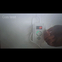 Gas Leak and Carbon Monoxide Detector Alarm for Home