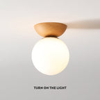 Glass Ceiling Light with Shade for Hallway