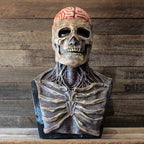 Halloween Skeleton Mask Realistic Latex Horror Mask Scary Skull Overhead Costume Mask for Adults