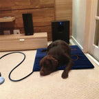Heated Pet Pad | Waterproof & Scratch-Resistant | Washable Warming Mat 61 cm × 46 cm