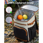 Insulated Lunch Cooler Backpack