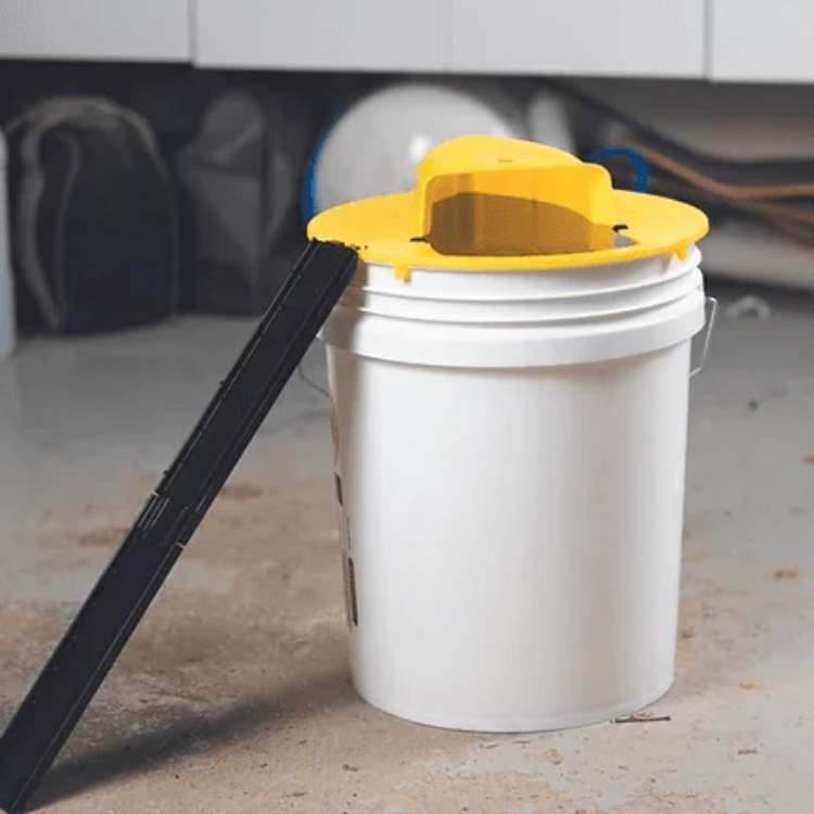 Intelligent Multi-Catch Mouse Trap