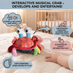 Interactive Musical Crab Toy with Voice Function