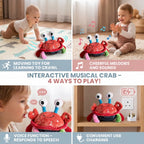 Interactive Musical Crab Toy with Voice Function