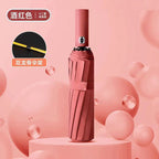 Ladies' Automatic Wind-Resistant Folding Umbrella
