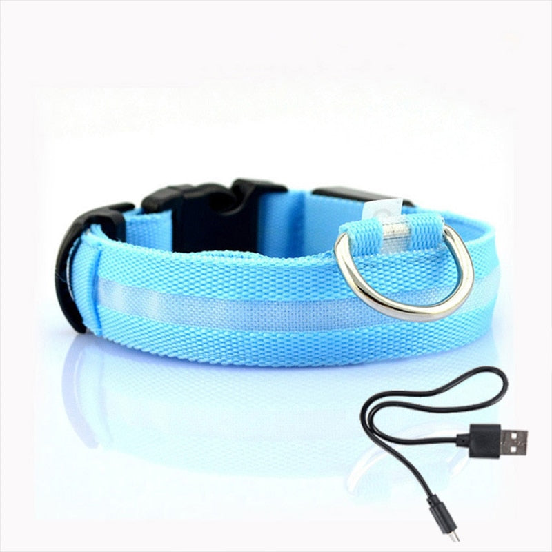 LED Dog Collar with Rechargeable Lighting – GlowCollar