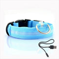 LED Dog Collar with Rechargeable Lighting – GlowCollar