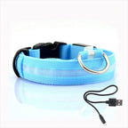 LED Dog Collar with Rechargeable Lighting – GlowCollar