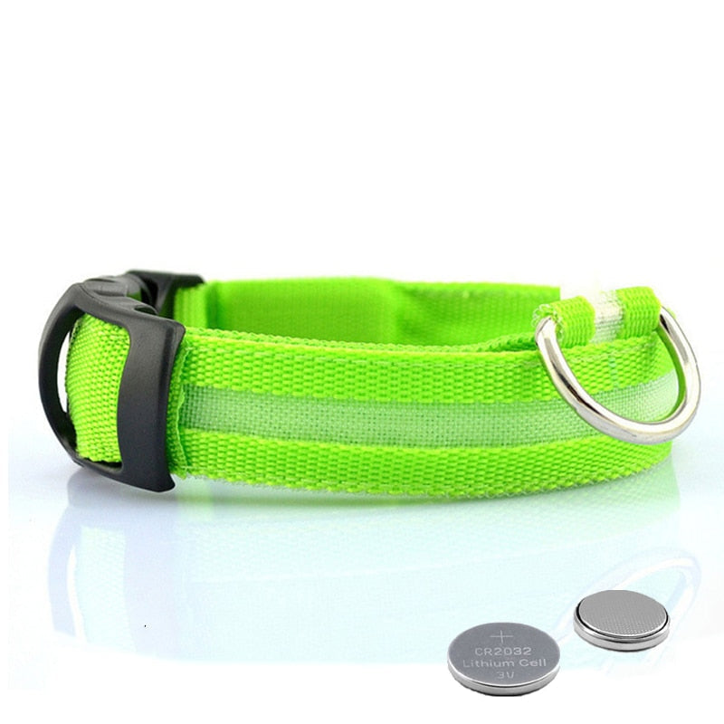 LED Dog Collar with Rechargeable Lighting – GlowCollar