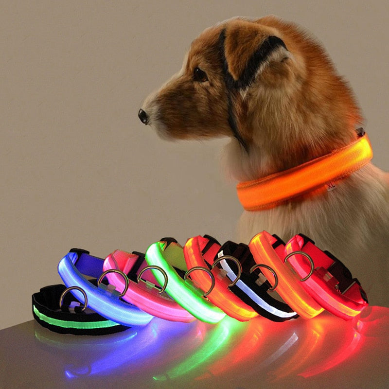 LED Dog Collar with Rechargeable Lighting – GlowCollar