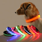 LED Dog Collar with Rechargeable Lighting – GlowCollar