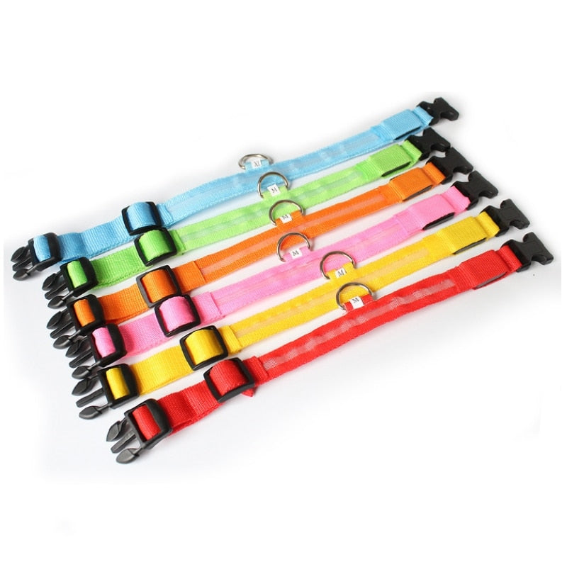 LED Dog Collar with Rechargeable Lighting – GlowCollar