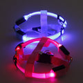 LED Dog Harness – Glow&Go