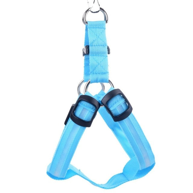 LED Dog Harness – Glow&Go