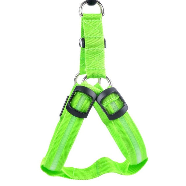 LED Dog Harness – Glow&Go