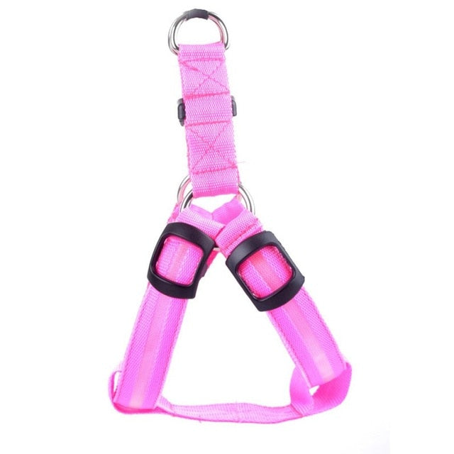 LED Dog Harness – Glow&Go