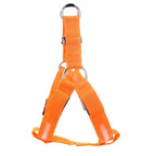LED Dog Harness – Glow&Go