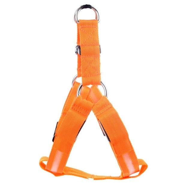 LED Dog Harness – Glow&Go