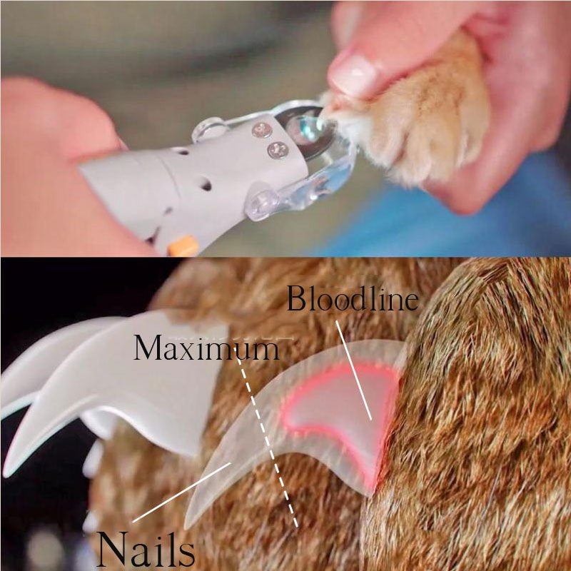 LED Dog Nail Clippers with Safety Guard & Magnifier