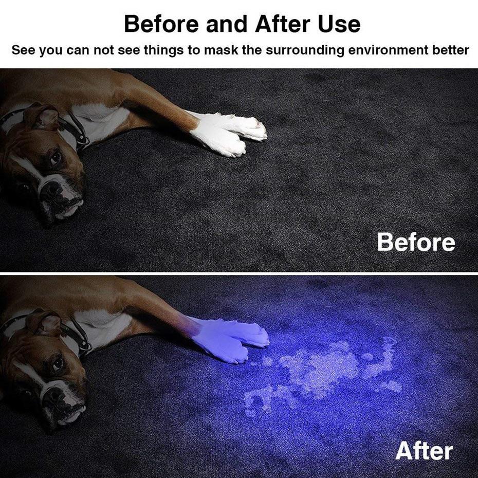 LED UV Torch with Zoom Function – Ultraviolet Black Light for Pet Urine Detection and Scorpion Hunting