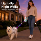 Boneroshop Rechargeable Light-Up Retractable Dog Leash for Night Walks - Helps Small Dogs Stay Visible & Easy to Control