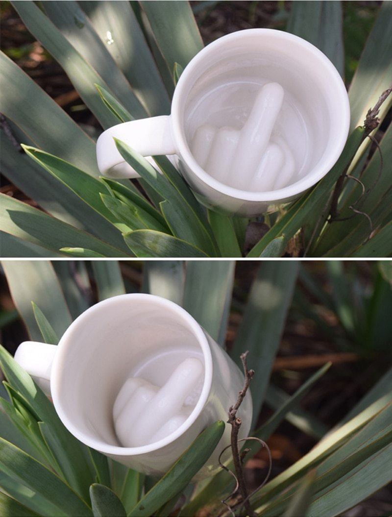 Middle Finger Prank Mug