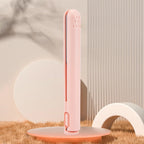 Mini Dual-Use Hair Straightener