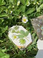 Boneroshop | Mini Flower Press | Compact Botanical Keepsake Maker | Portable Craft Tool